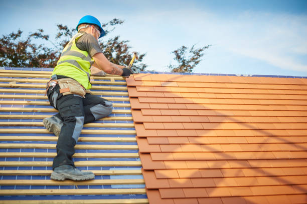 Best Roof Moss and Algae Removal  in Noble, OK